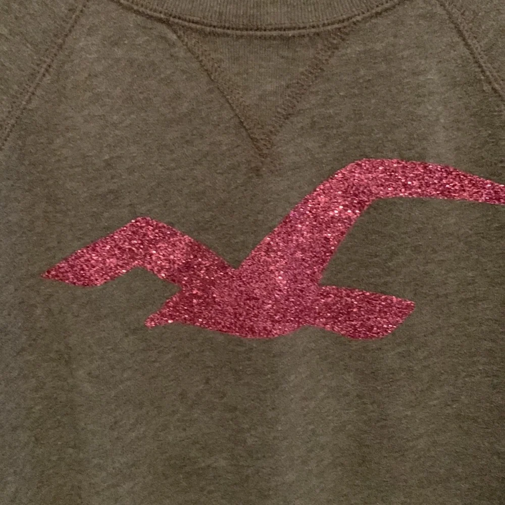 Hollister Sweatshirt - Size XS